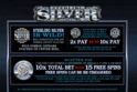 Sterling Silver 3D