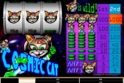 Cosmic Cat