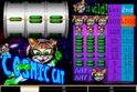 Cosmic Cat