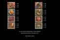 Lara Croft® Temples and Tombs™