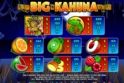 Big Kahuna - Snakes and Ladders