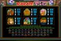 Karate Pig