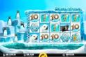 Penguin Splash