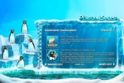 Penguin Splash