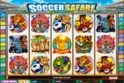 Soccer Safari
