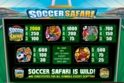 Soccer Safari