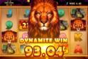 African Quest