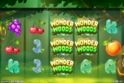Wonder Woods