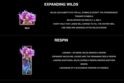 Atlantean Treasures Mega Moolah