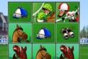 Sure Win Scratch