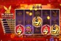 Playboy Fortunes