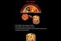 777 Royal Wheel