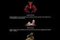 Odin's Riches