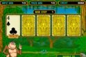 Crazy Monkey