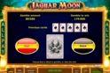 Jaguar Moon™