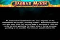Jaguar Moon™