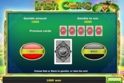 Irish Coins™