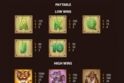 Jungle Trouble