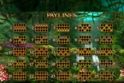 Heart of the Jungle