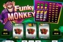Funky Monkey
