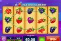 Berry Berry Bonanza
