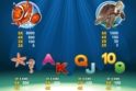 Dolphin Reef