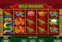 Wild Dragon