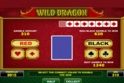 Wild Dragon