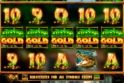 Amazon Gold