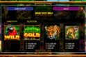 Amazon Gold