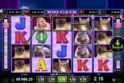 100 Cats