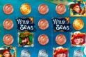 Wild Seas