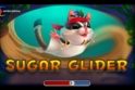 Sugar Glider