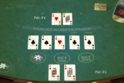Texas Hold'em Poker