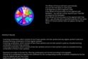 Rich Reels