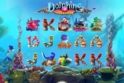 Dolphins Treasure