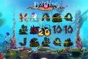 Dolphins Treasure