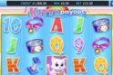 Kitty Payout