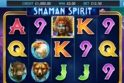 Shaman Spirit