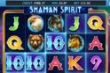 Shaman Spirit