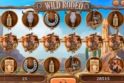 Wild Rodeo