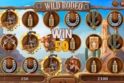 Wild Rodeo