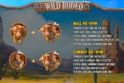 Wild Rodeo