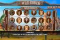 Wild Rodeo