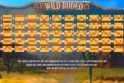Wild Rodeo