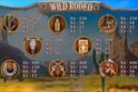 Wild Rodeo