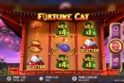Fortune Cat