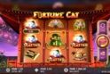 Fortune Cat