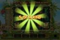 Wild and the Beanstalk
