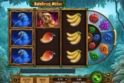 Rainforest Riches